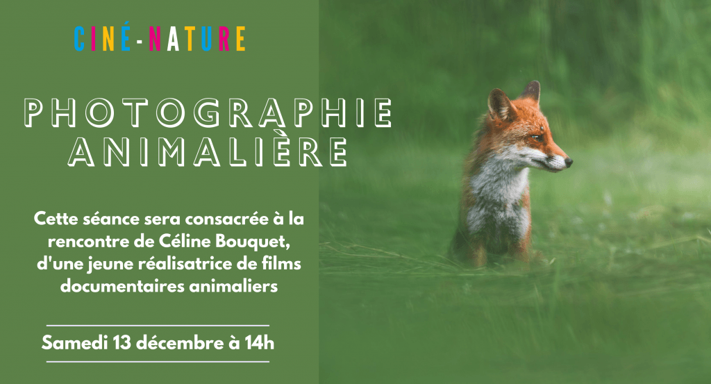 actualité Ciné-nature