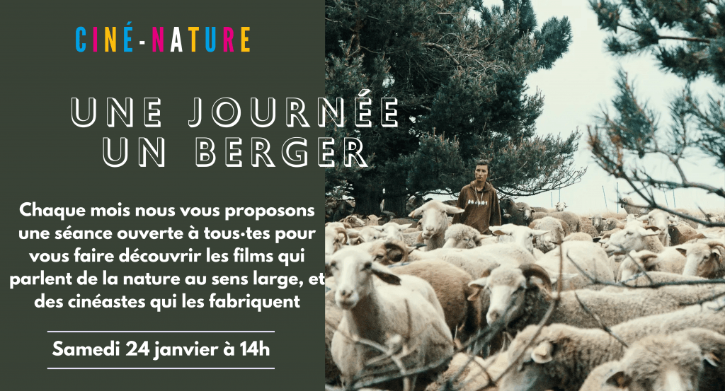 actualité Une journée un berger