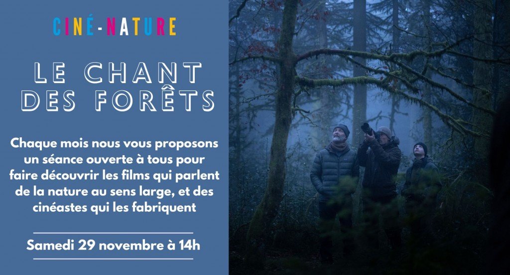actualité Le Chant des forêts