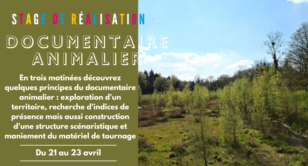 actualité Documentaire animalier